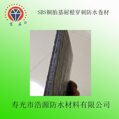 廠家 直銷寶石牌 SBS銅胎基耐根穿刺防水卷材 建筑防水專用 -25°C聚酯胎 厚度4mm 國標 sbs防水卷材圖片_高清圖_細節圖